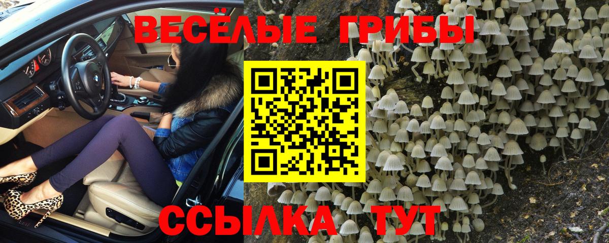 Псилоцибиновые грибы MAGIC MUSHROOMS  Псилоцибиновые грибы прущие грибы  Вход с VPN  Кашира 
