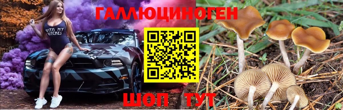 Псилоцибиновые грибы прущие грибы Кашира