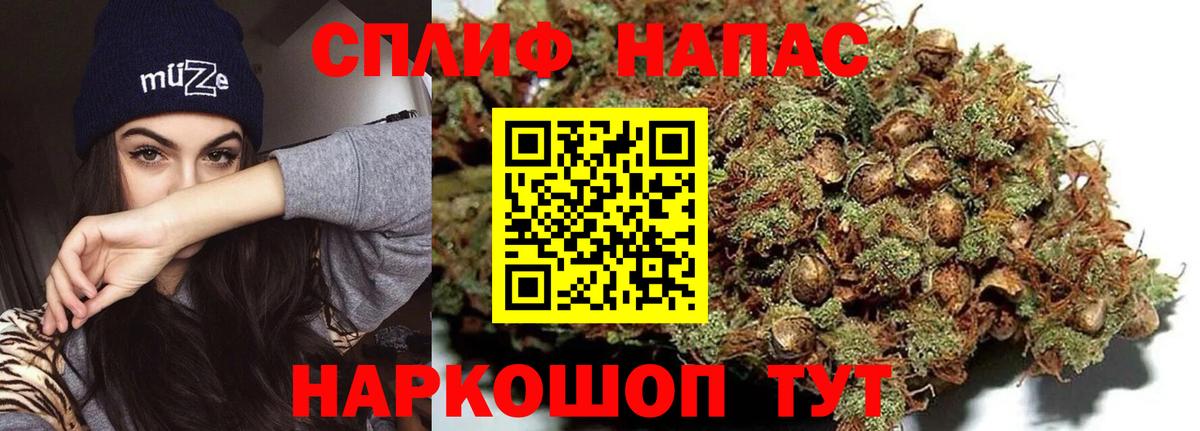 Конопля марихуана  Марихуана Bruce Banner  Вход с VPN  Кашира  МАРИХУАНА LSD WEED  Шишки марихуана тримм 